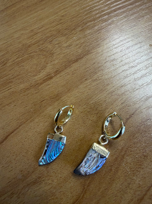 Paua Huggie earrings